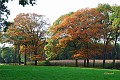 Herfstkleuren Beverbeek 2